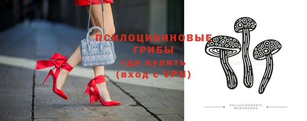 мдпв Арсеньев