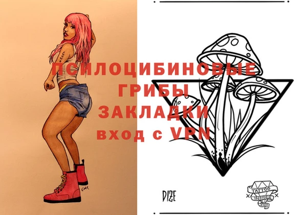 мдпв Арсеньев